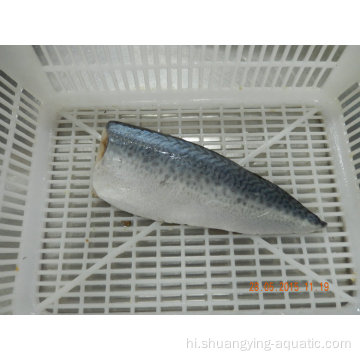 जमे हुए मैकेरल मछली पट्टिका आकार 70-150g 100-200g